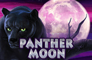 Автомат Лунная Пантера на деньги онлайн